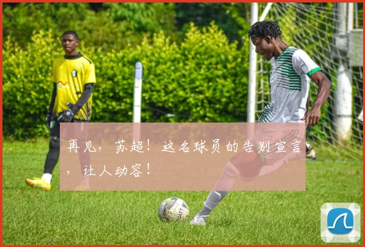 再见,苏超!这名球员的告别宣言,让人动容!