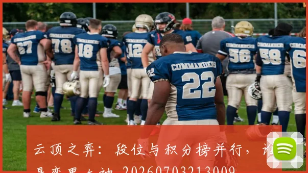 云顶之弈：段位与积分榜并行，谁是弈界大神_20260703213009