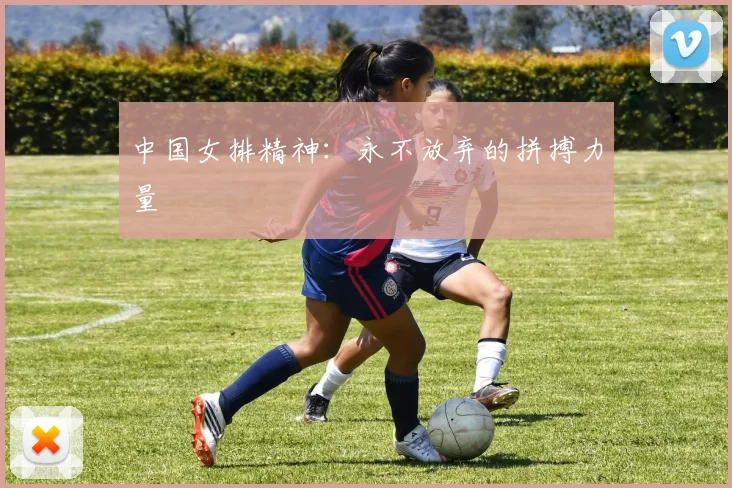 中国女排精神：永不放弃的拼搏力量